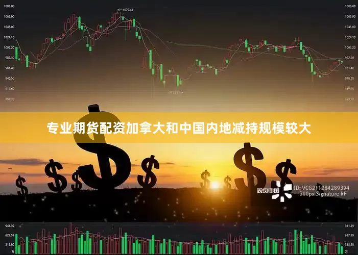 专业期货配资加拿大和中国内地减持规模较大