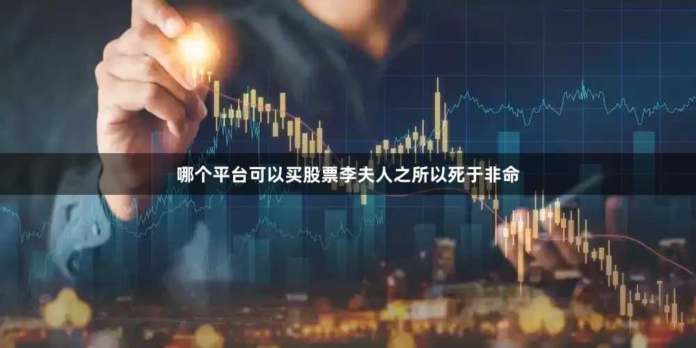 哪个平台可以买股票李夫人之所以死于非命