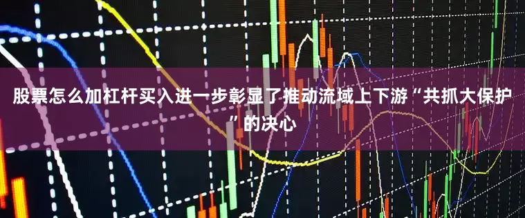 股票怎么加杠杆买入进一步彰显了推动流域上下游“共抓大保护”的决心