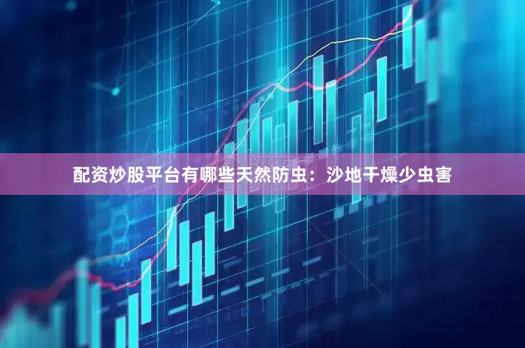 配资炒股平台有哪些天然防虫：沙地干燥少虫害
