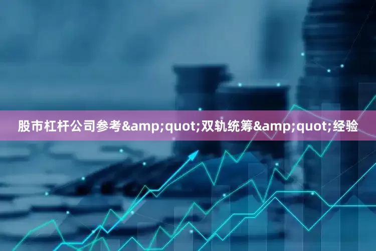 股市杠杆公司参考&quot;双轨统筹&quot;经验